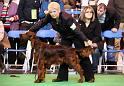 Crufts2010 1016